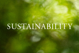 SUSTAINABILITY