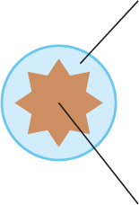 アミノ酸のグラフ