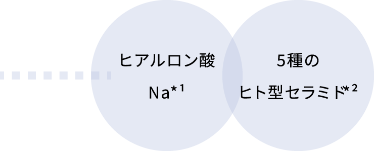 ヒアルロン酸Na* 15種のヒト型セラミド*2 
