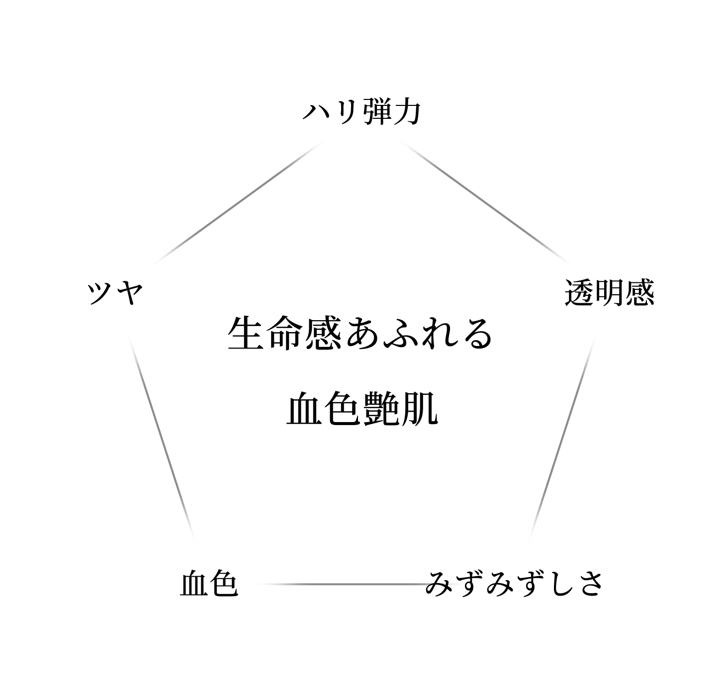 生命感あふれる血色艶肌：ハリ弾力、透明感、みずみずしさ、血色、ツヤ